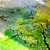 Two Maps of Danaraja cover
