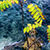 Wood Lake cover